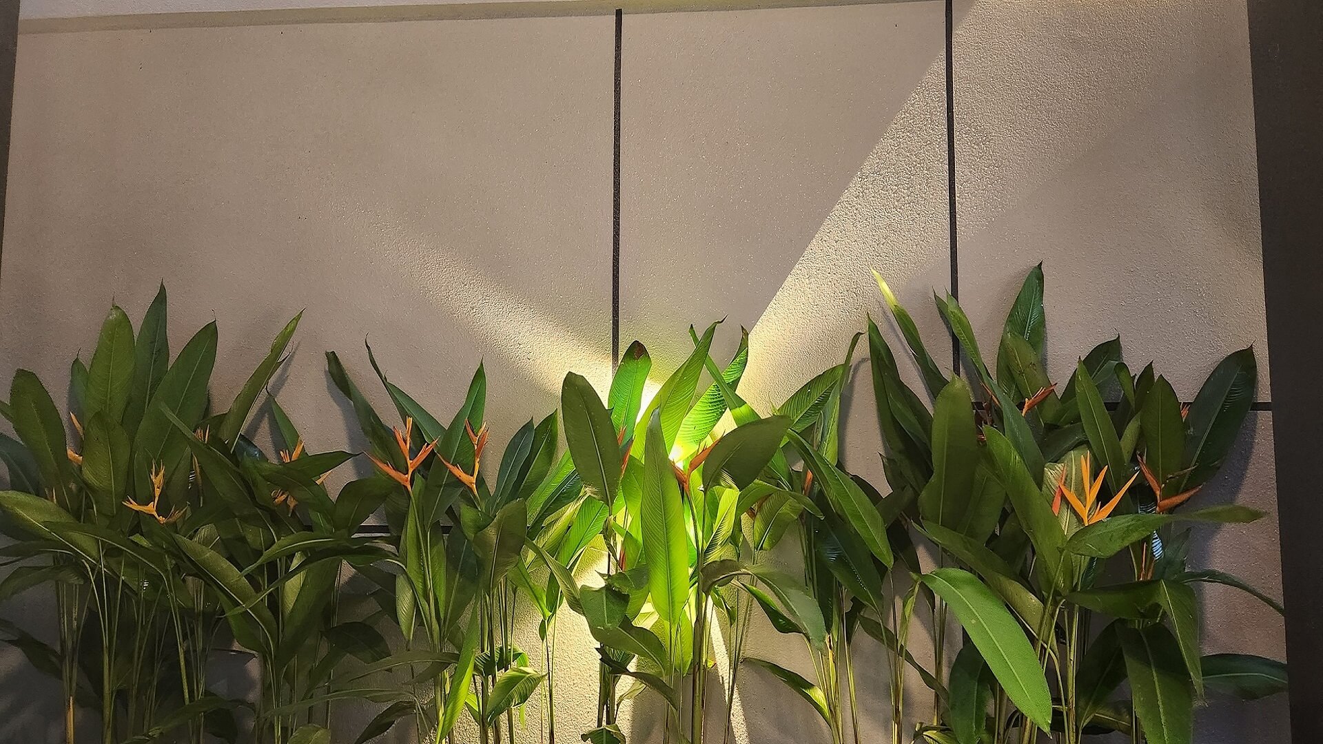 Sơn đá Carastone 3 Dự án thực tế mẫu sơn đá thạch anh Carastone