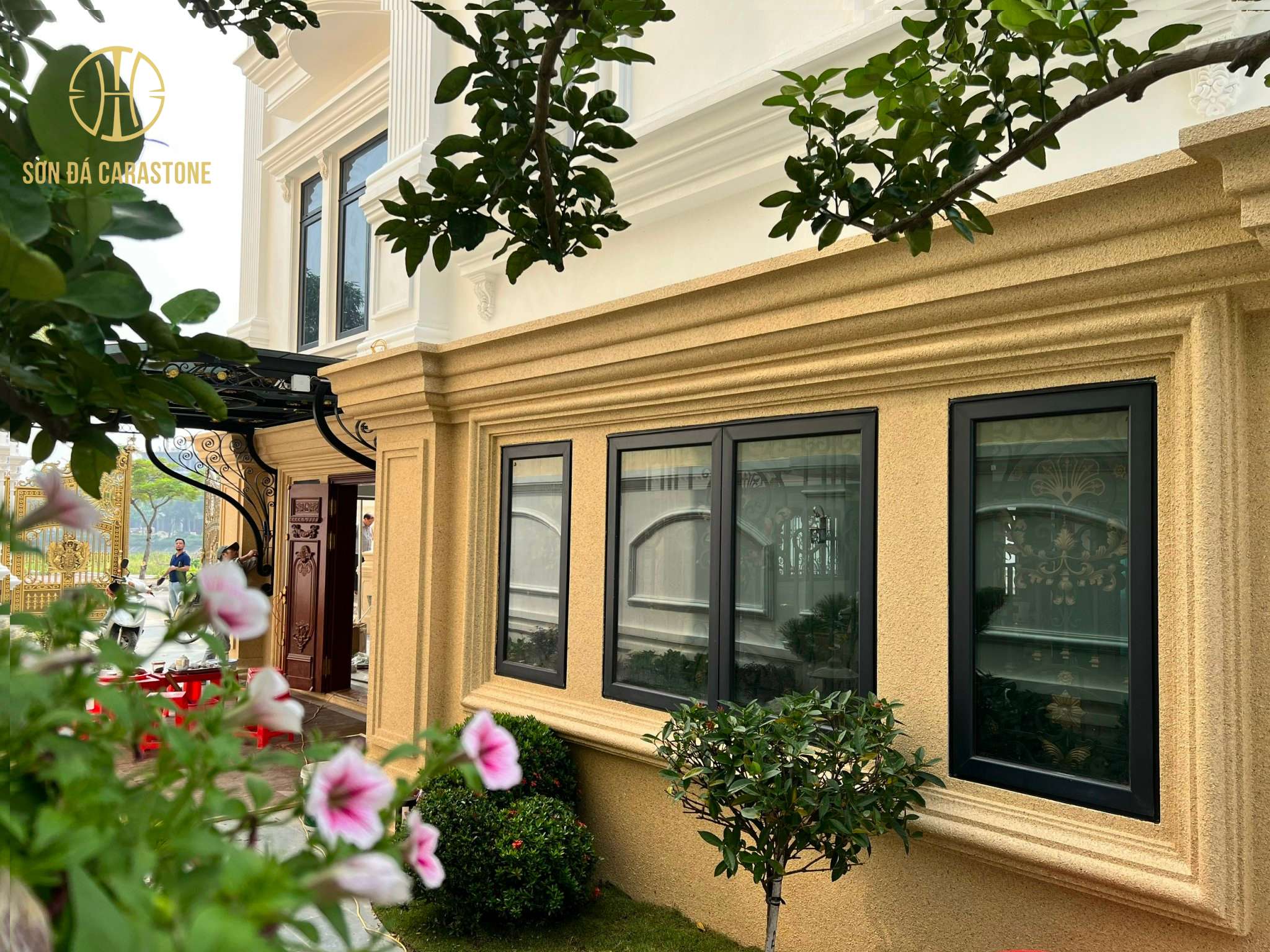 son-da-hoa-cuong Sơn đá hoa cương gồm 2 hệ chính là cấu và hệ cấu