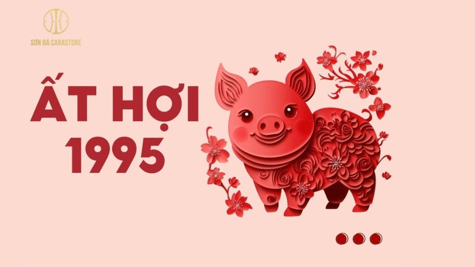 Tổng quan vận mệnh tuổi Ất Hợi 1995 trong năm 2026