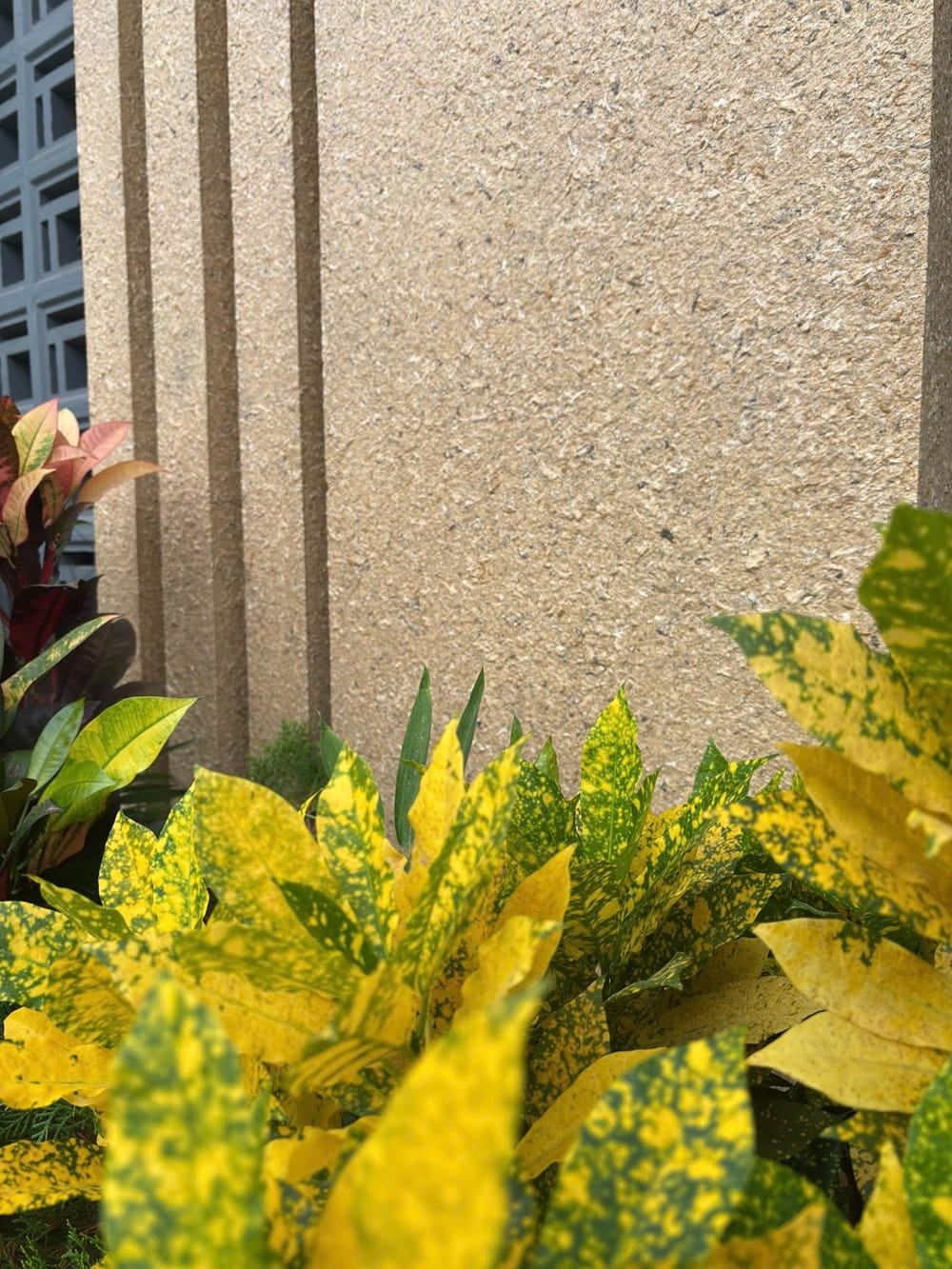 Carastone – Đối tác tin cậy cho thầu thợ và kiến trúc sư