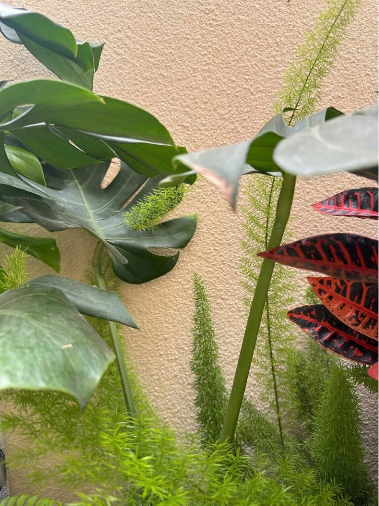 son-da-tu-nhien Chuyên Gia Sơn Đá Hưng Thịnh Phát | Tìm hiểu về sơn đá là gì?